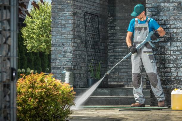 Best Building Exterior Washing  in New Port Richey, FL